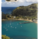 Trinidad Themed - BSL Silicone Case (Get it with any iPhone case) - $200 TTD